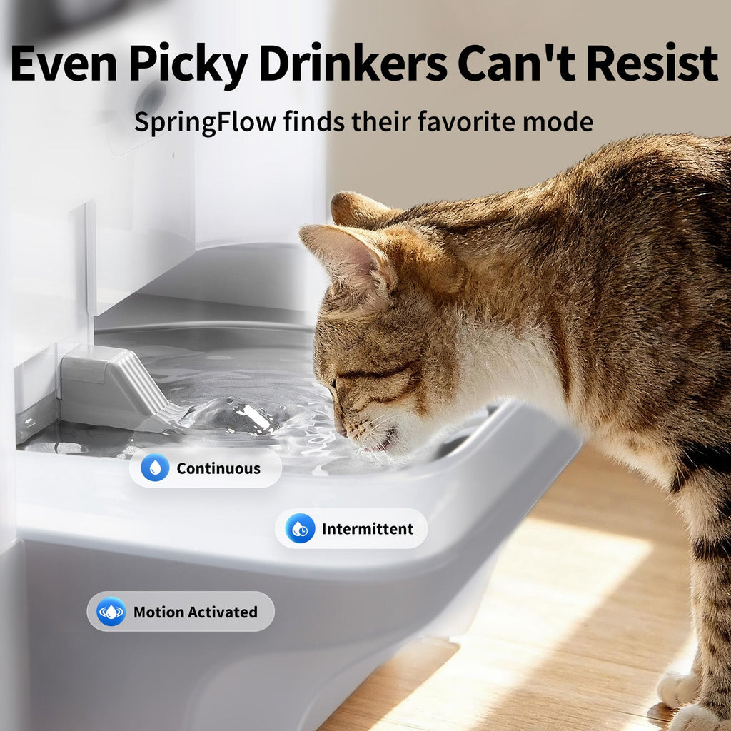 AI Camera & Maximum Hygiene Smart Pet Water Fountain