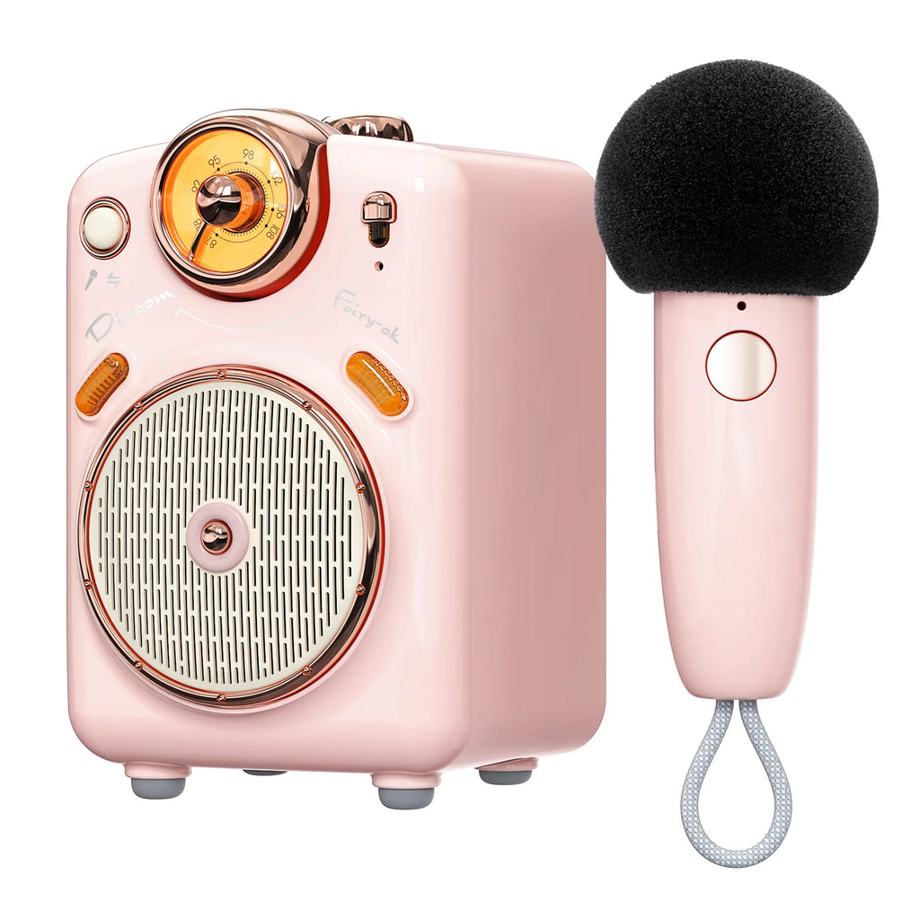 Divoom International Portable Karaoke Speaker