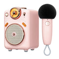 Divoom International Portable Karaoke Speaker