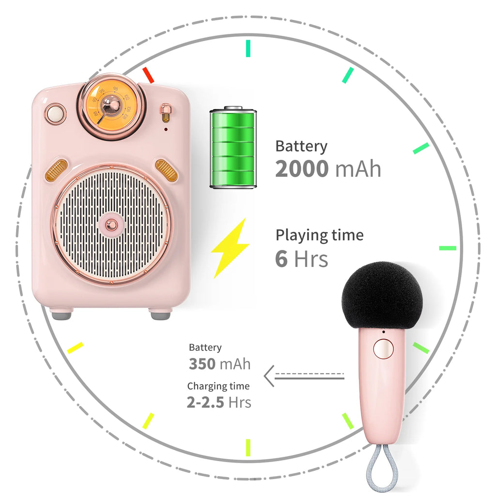 Divoom International Portable Karaoke Speaker