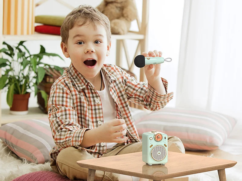 Divoom International Portable Karaoke Speaker