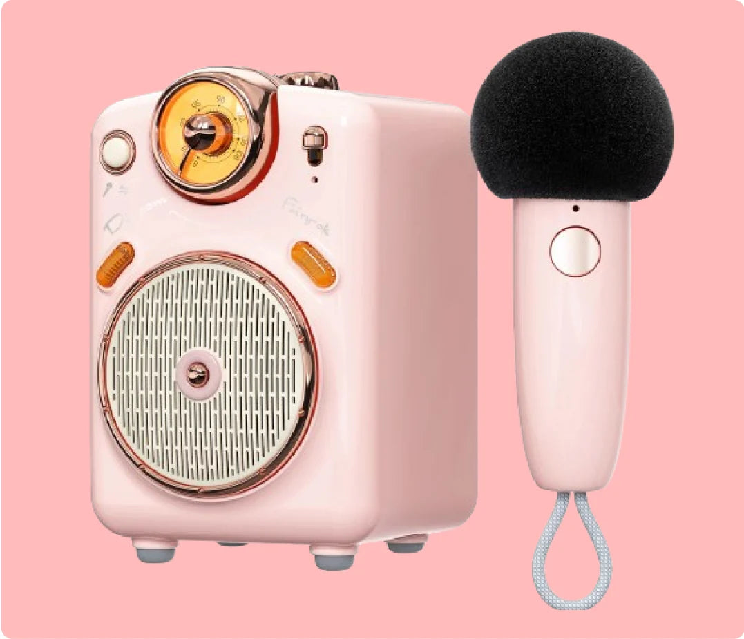 Divoom International Portable Karaoke Speaker