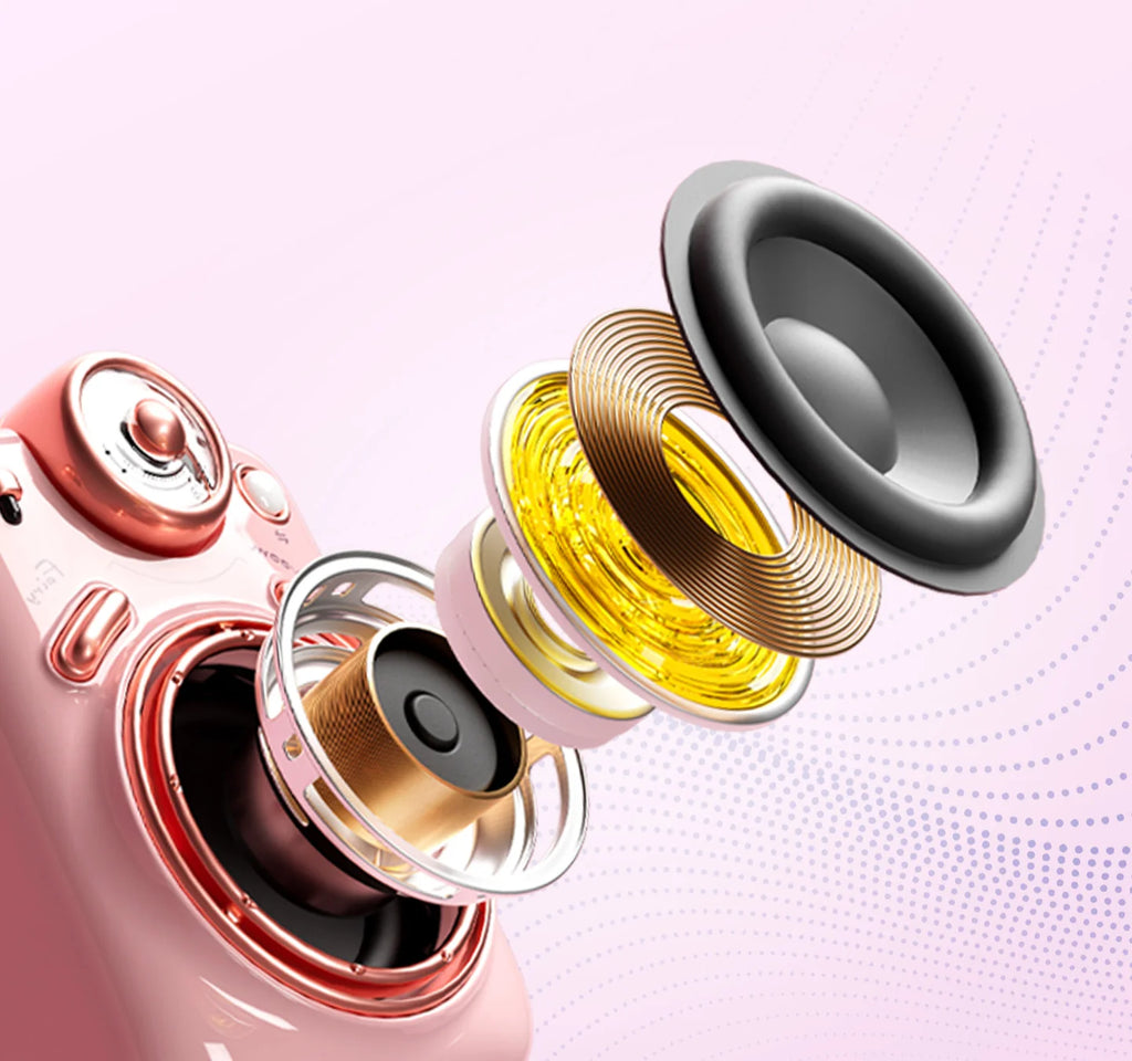 Divoom International Portable Karaoke Speaker