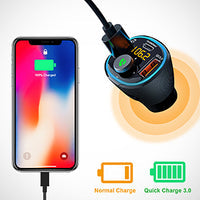 Rexing USA Car FM Transmitter and Charger
