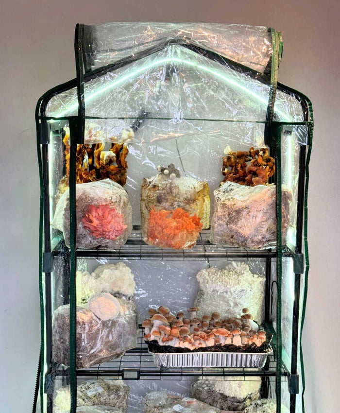 Midwest Grow Kit's Greenhouse Ventilation Fan Kit