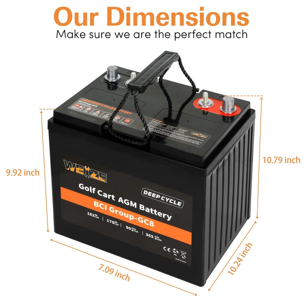 WEIZE Golf Cart Deep-Cycle Battery