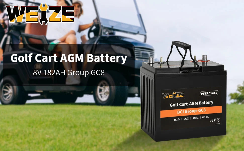 WEIZE Golf Cart Deep-Cycle Battery