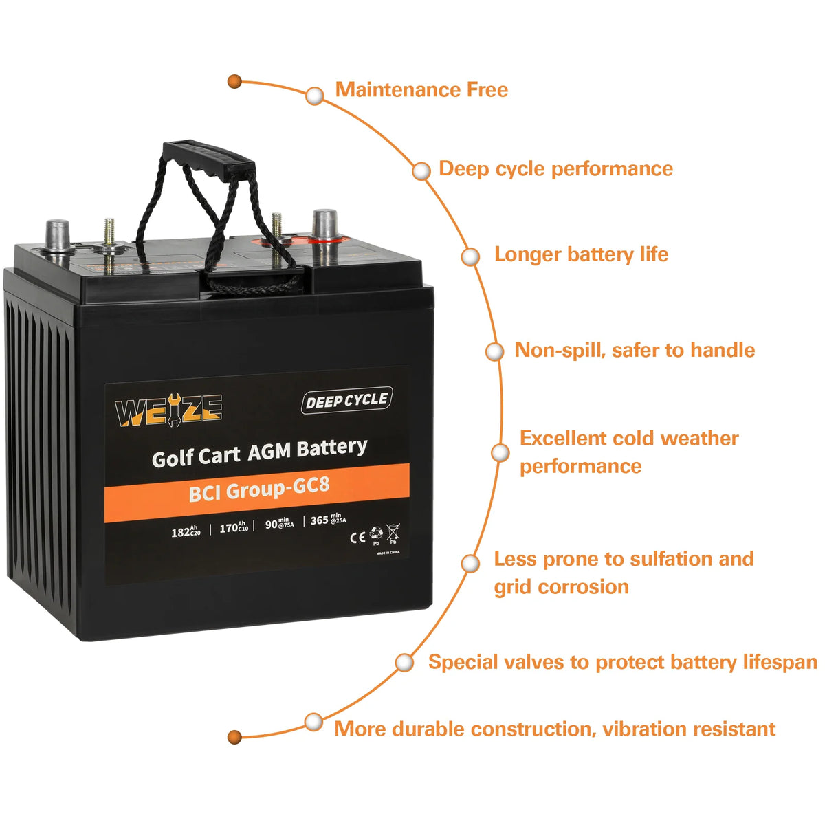 WEIZE Golf Cart Deep-Cycle Battery