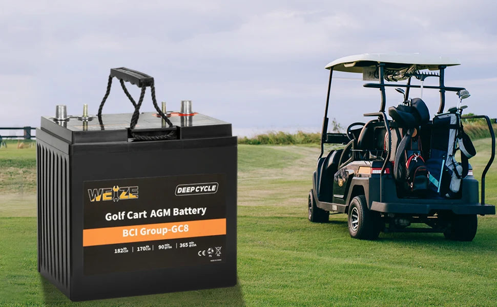 WEIZE Golf Cart Deep-Cycle Battery