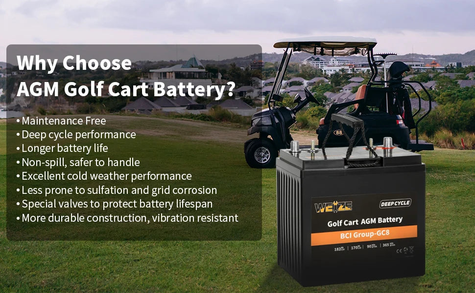 WEIZE Golf Cart Deep-Cycle Battery