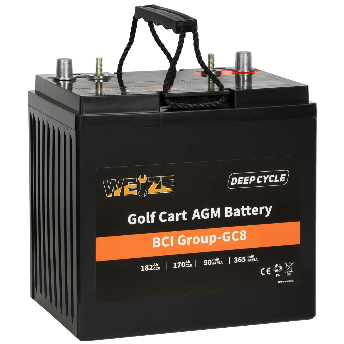 WEIZE Golf Cart Deep-Cycle Battery