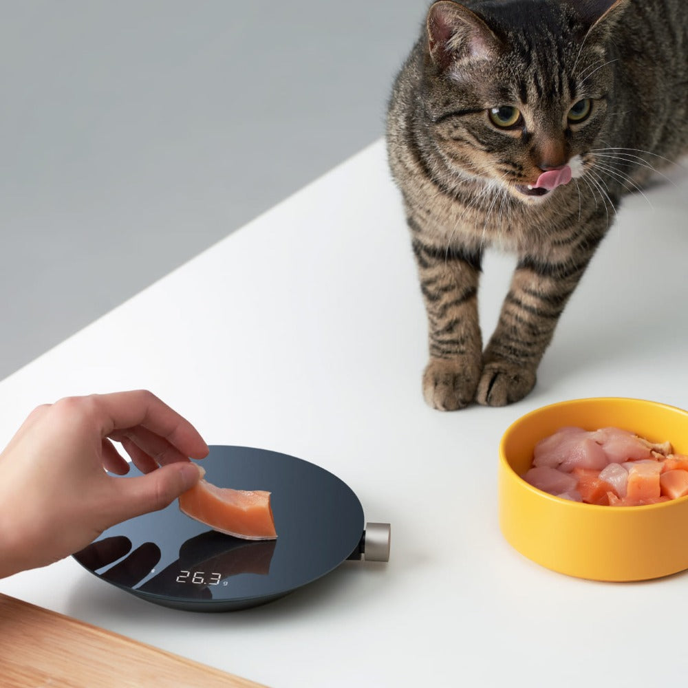 HOTO Digital Kitchen Scale