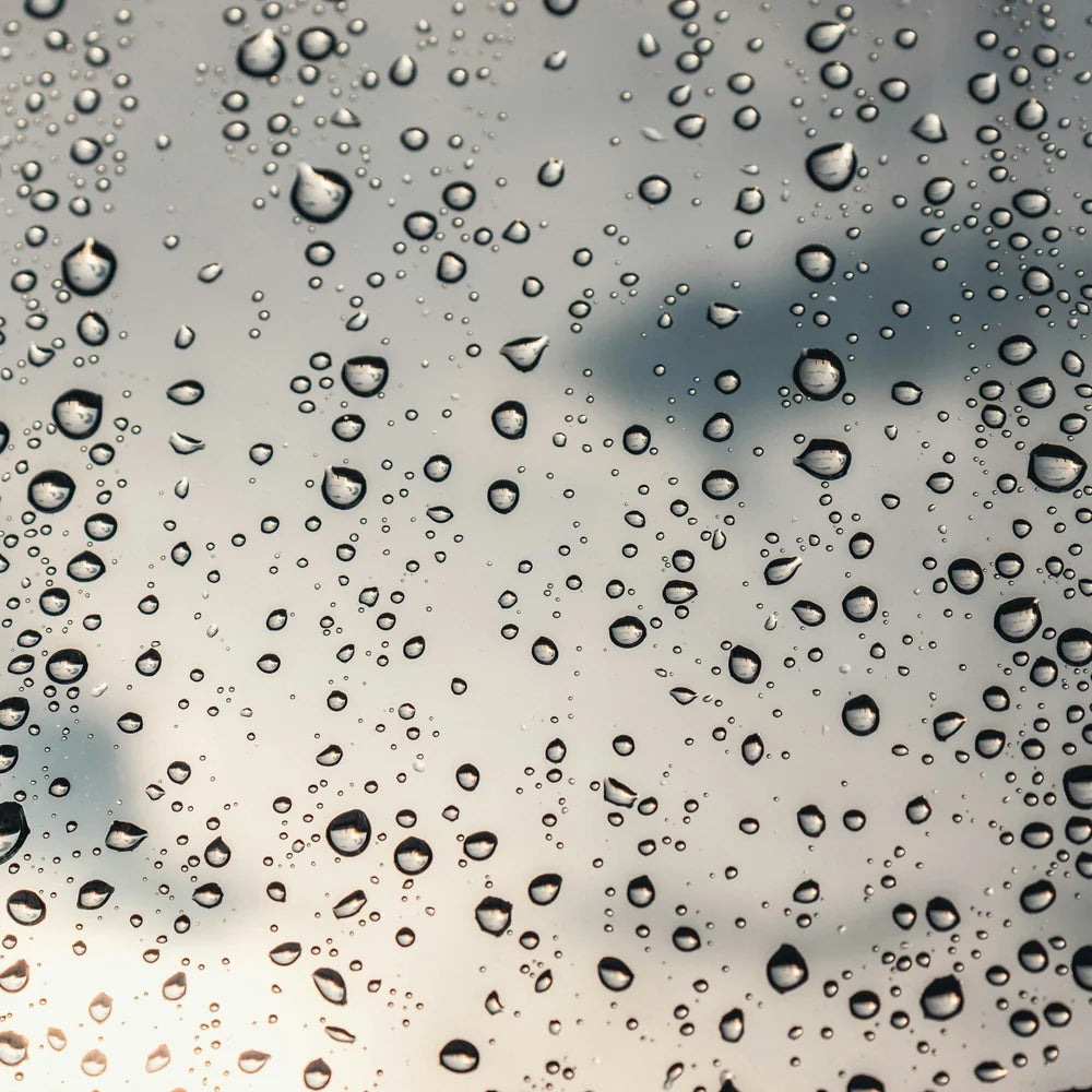 SensorPush Temperature and Humidity Sensor