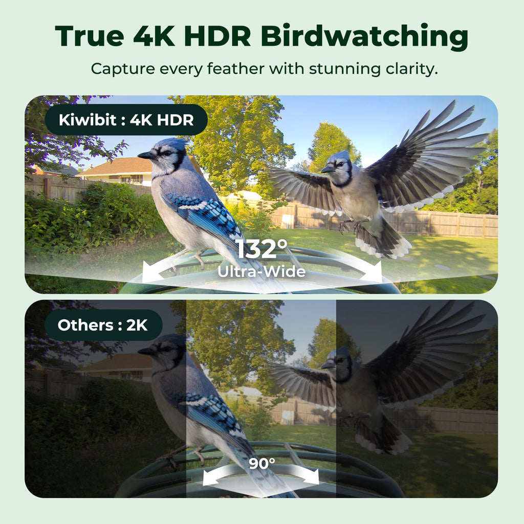 Kiwibit Bird Feeder Camera
