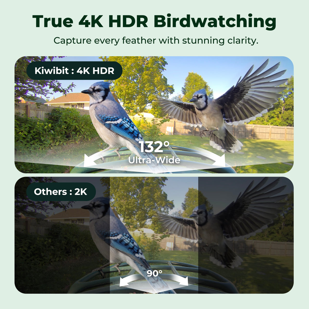 Kiwibit Bird Feeder Camera