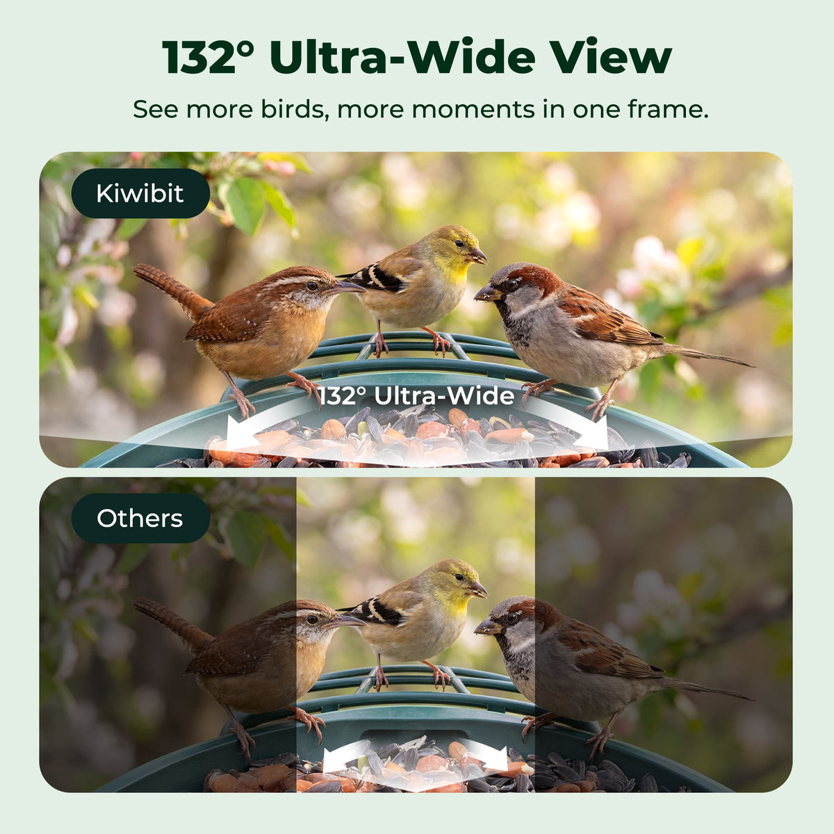 Kiwibit Bird Feeder Camera