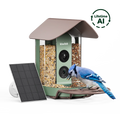 Kiwibit Bird Feeder Camera