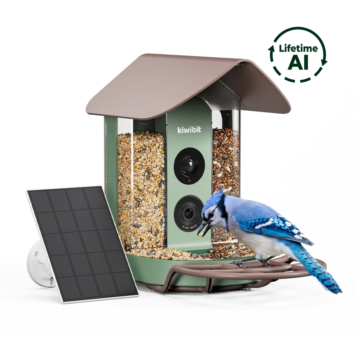 Kiwibit Bird Feeder Camera