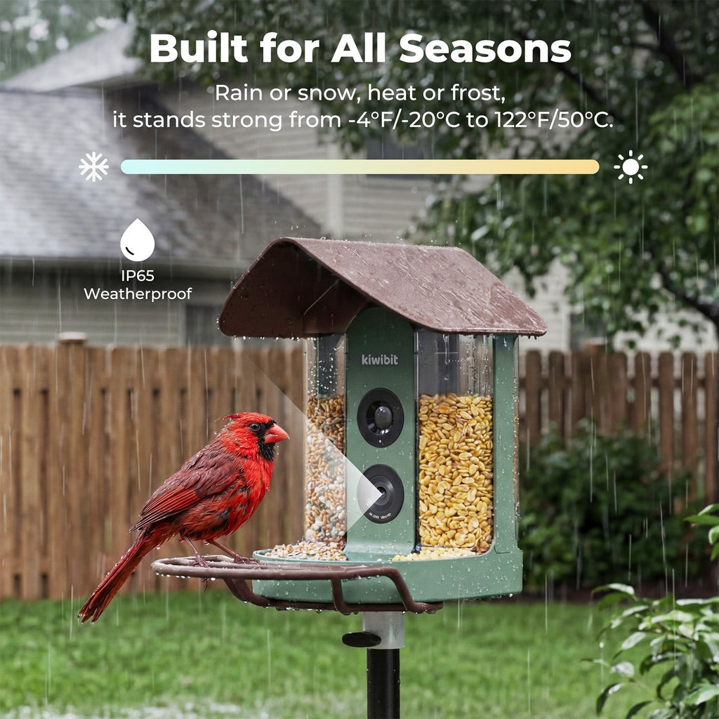 Kiwibit Bird Feeder Camera