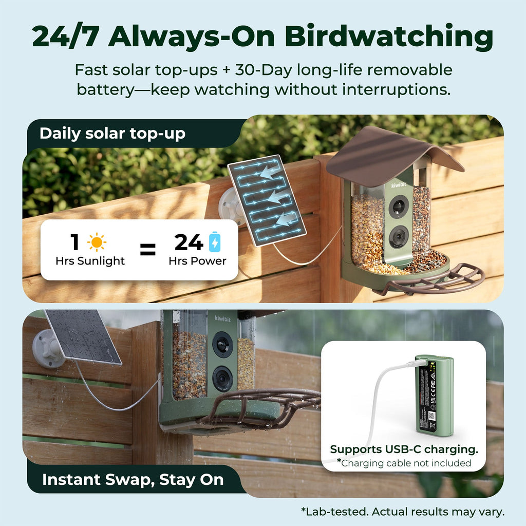 Kiwibit Bird Feeder Camera