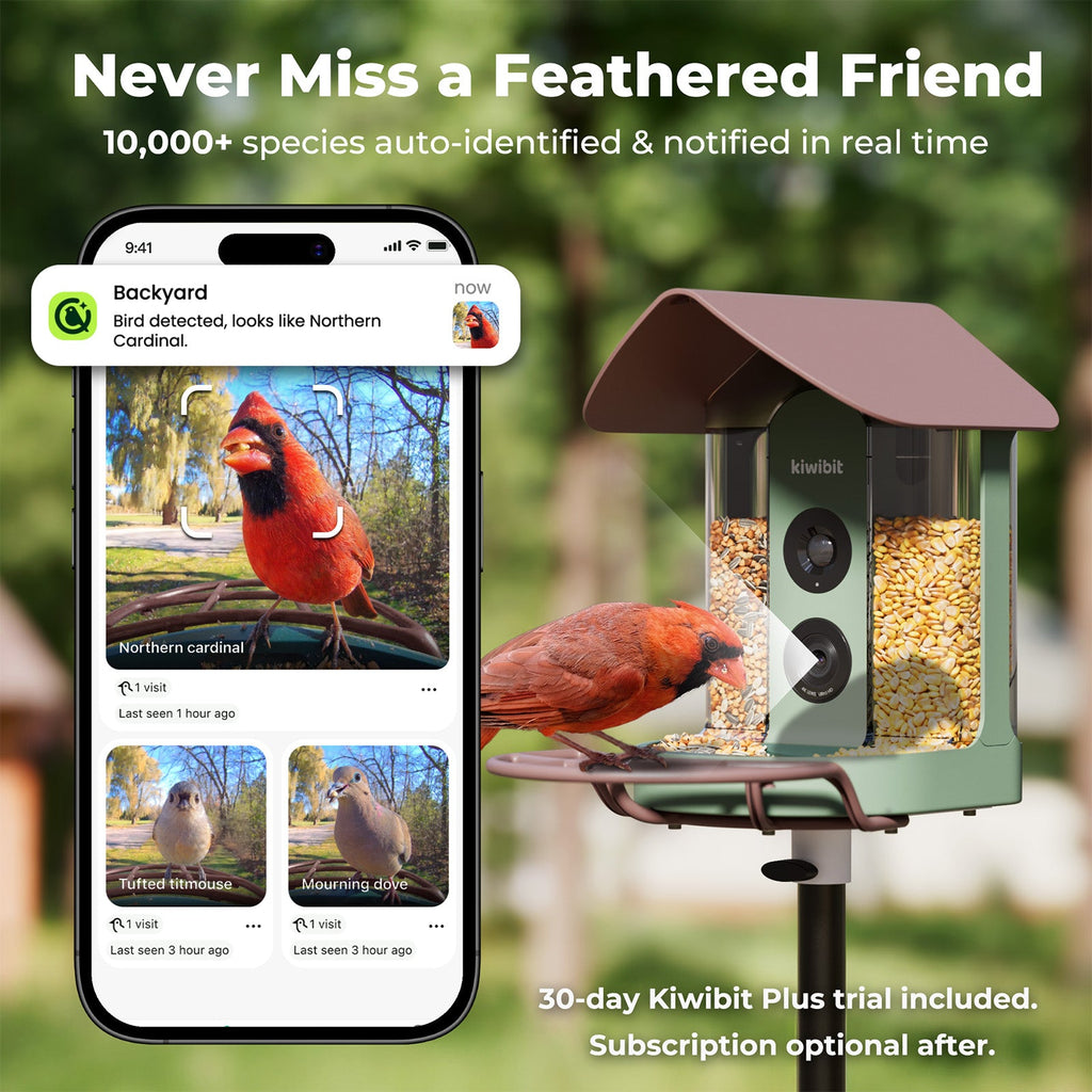 Kiwibit Bird Feeder Camera