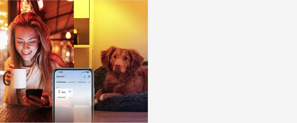 Tapo Smart LED Light Bulb Pack