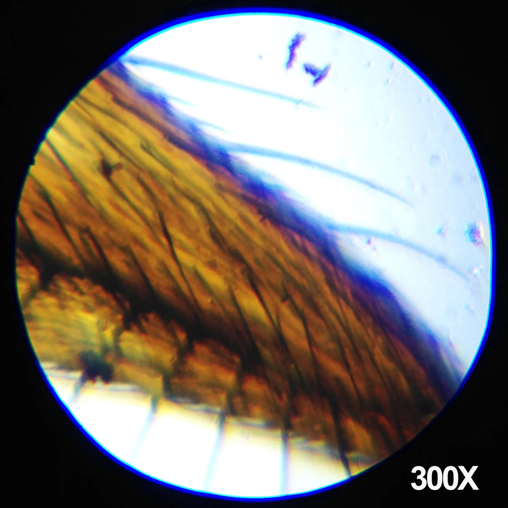 IQCREW Monocular Microscope Kit
