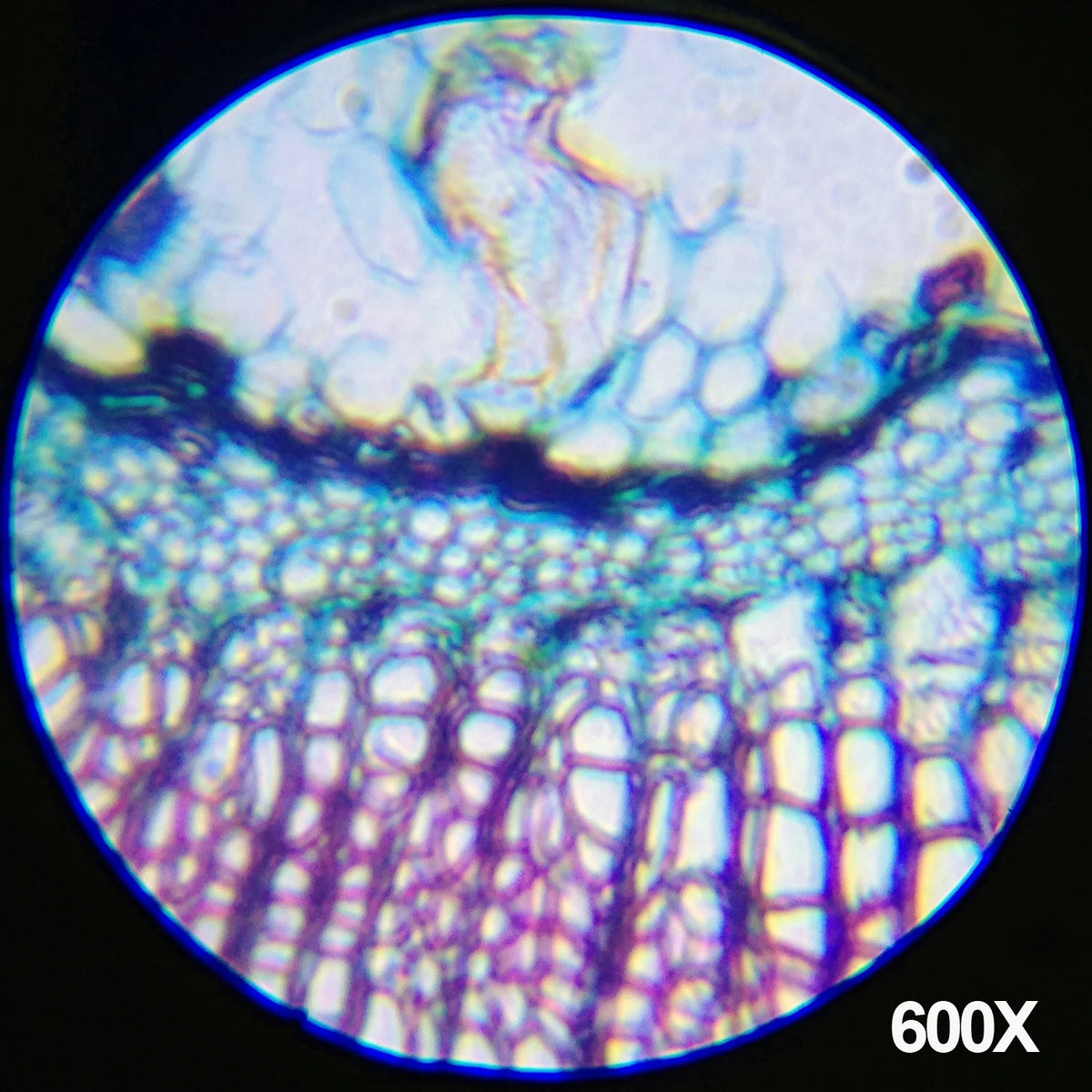 IQCREW Monocular Microscope Kit