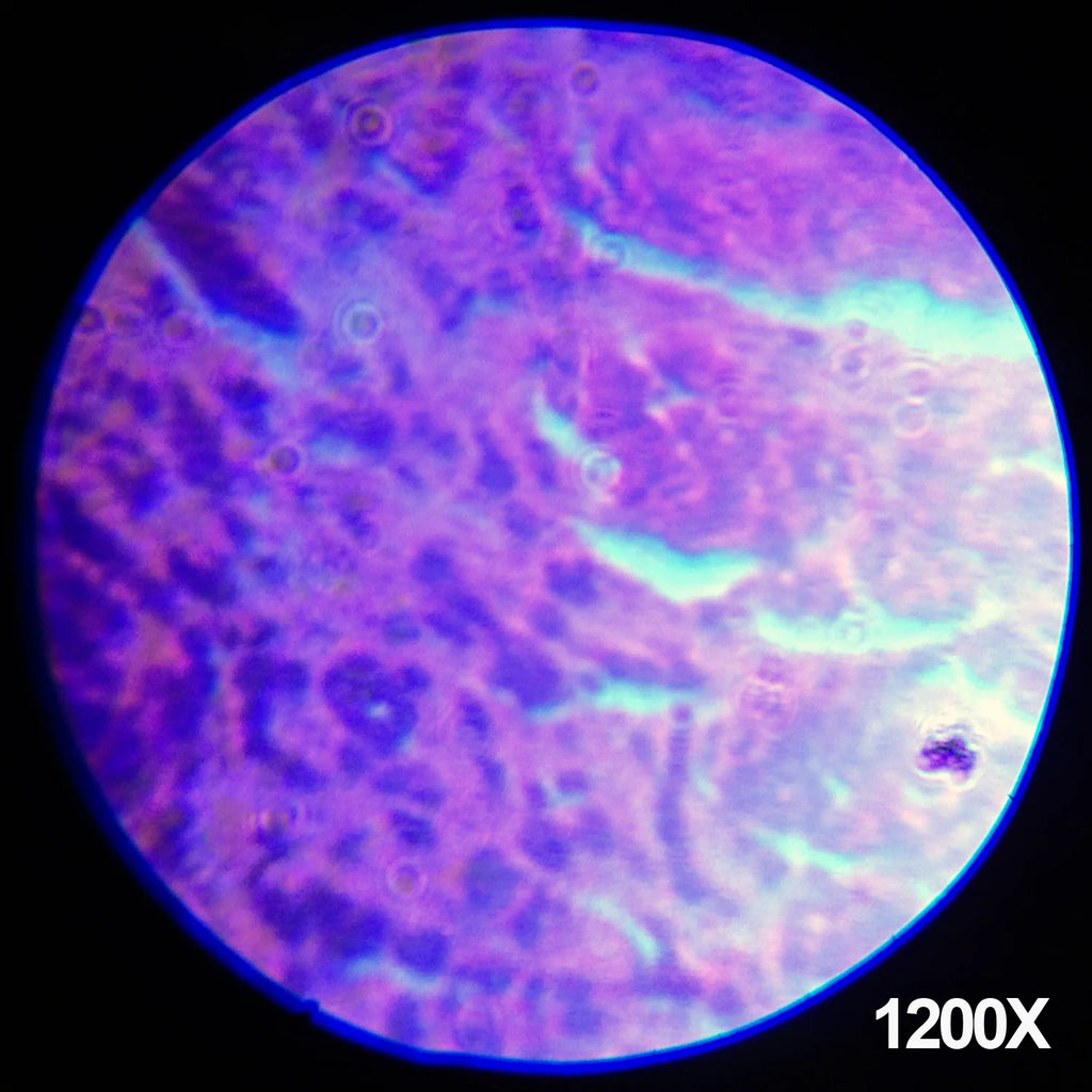 IQCREW Monocular Microscope Kit