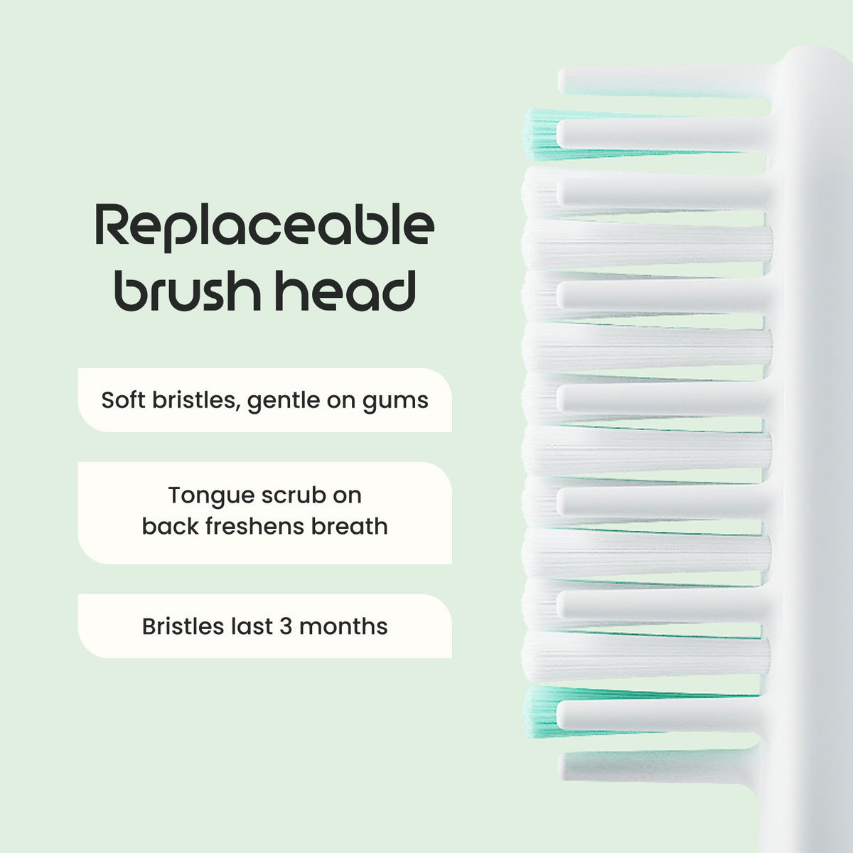 quip Sonic Electric Toothbrush