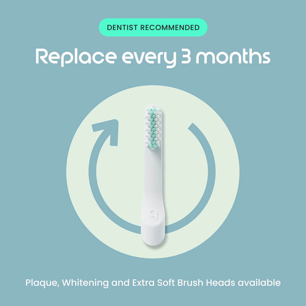 quip Sonic Electric Toothbrush