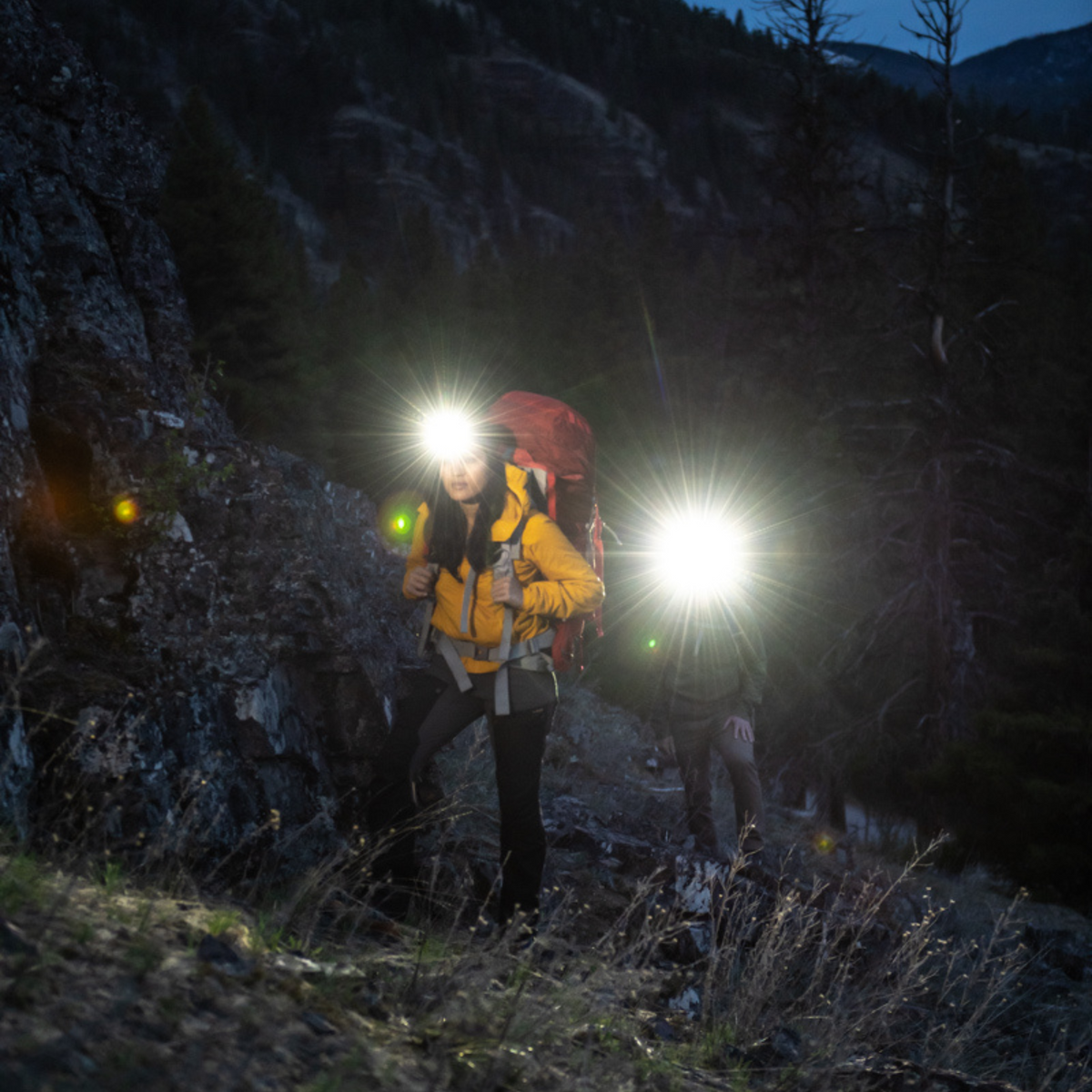 Ledlenser Headlamp