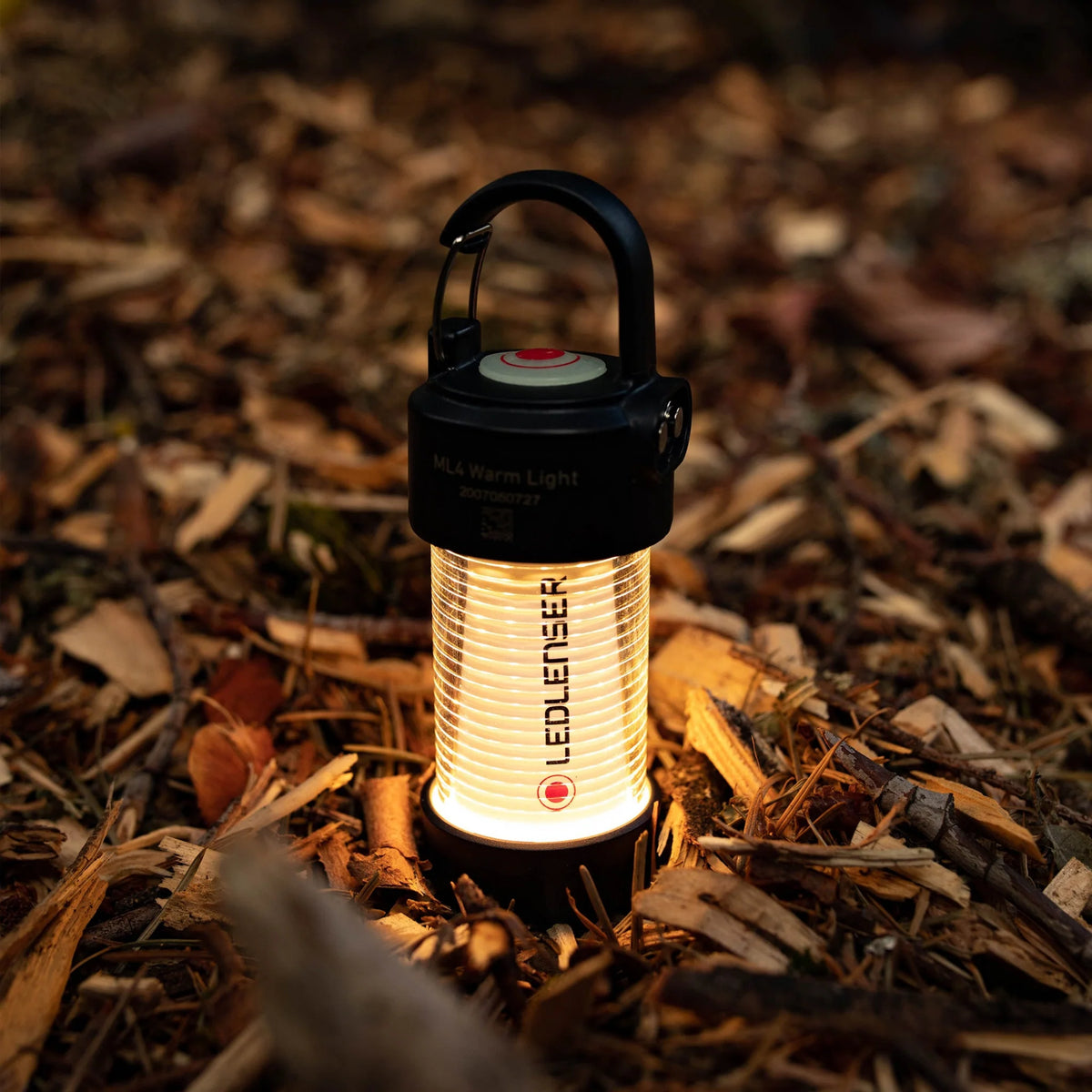 LedLenser Rechargeable Lantern