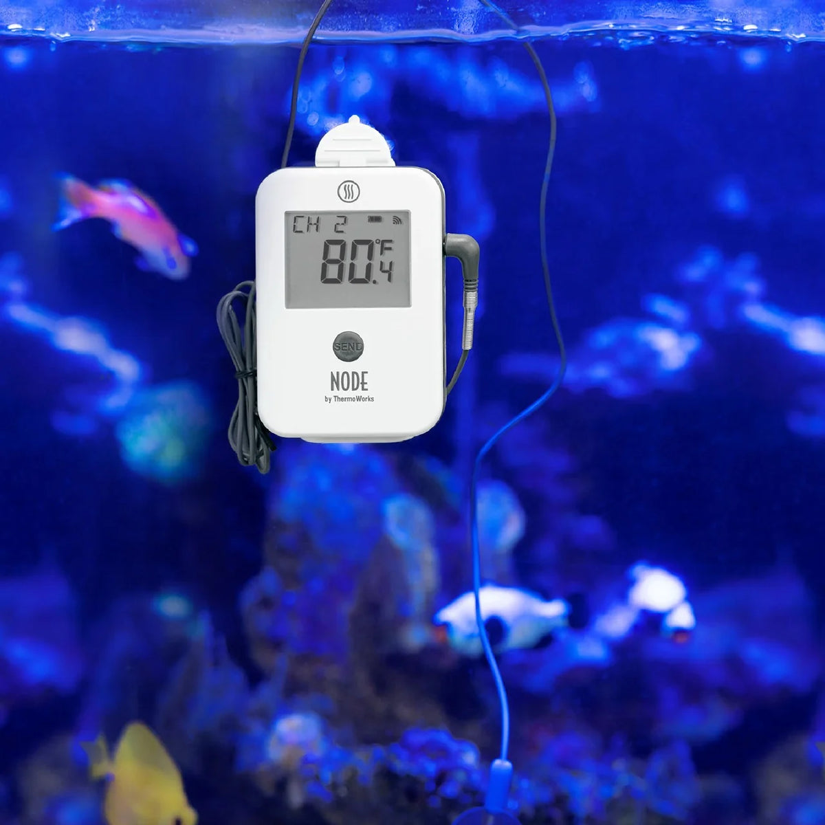 Thermoworks Wi-Fi Temperature and Humidity Monitor