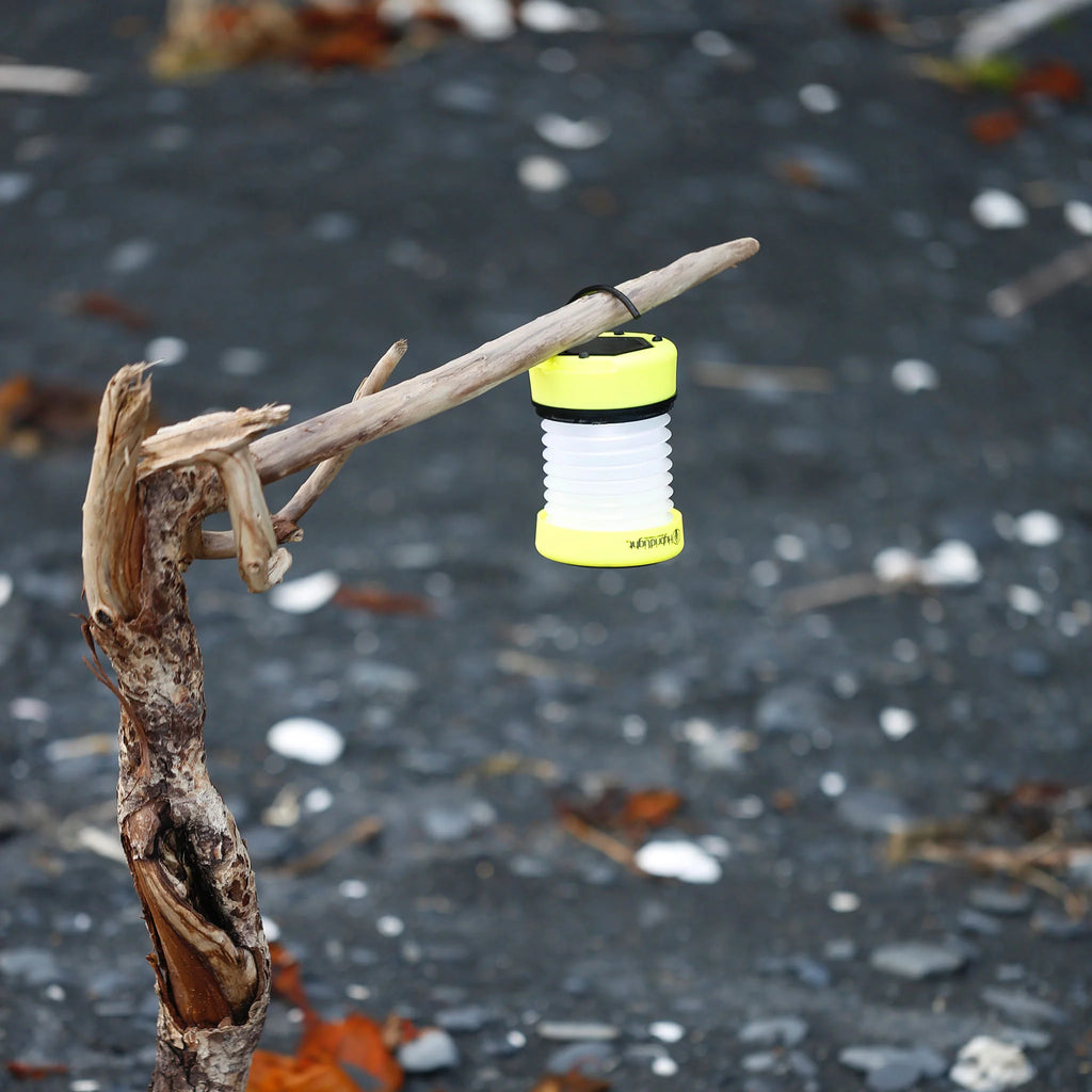 Hybrid Light Official Solar Lantern