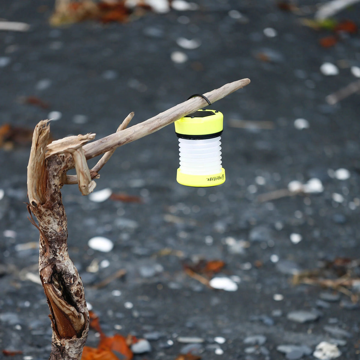 Hybrid Light Official Solar Lantern