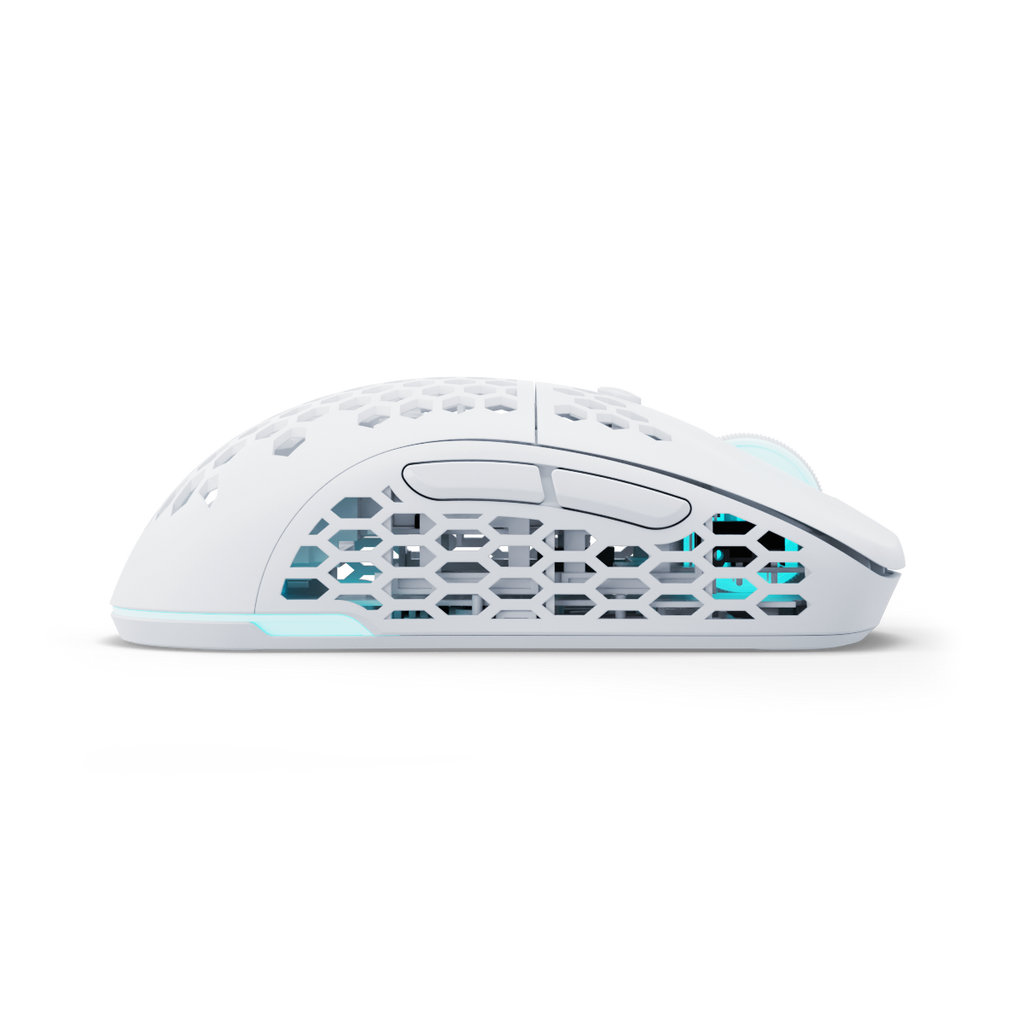 Pwnage Wireless Gaming Mouse