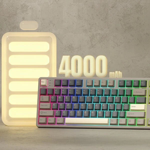 Womier Keyboard Mechanical Keyboard