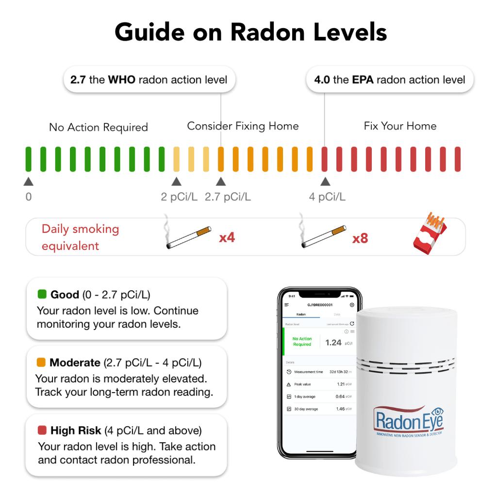 Ecosense Radon Detector