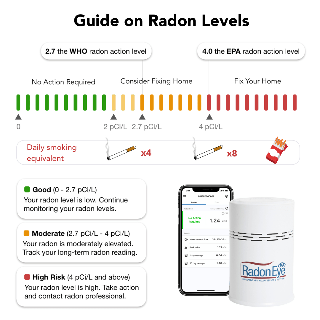 Ecosense Radon Detector