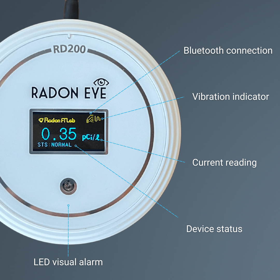 Ecosense Radon Detector