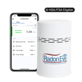 Ecosense Radon Detector