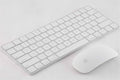 Apple Keyboard and Mouse Set