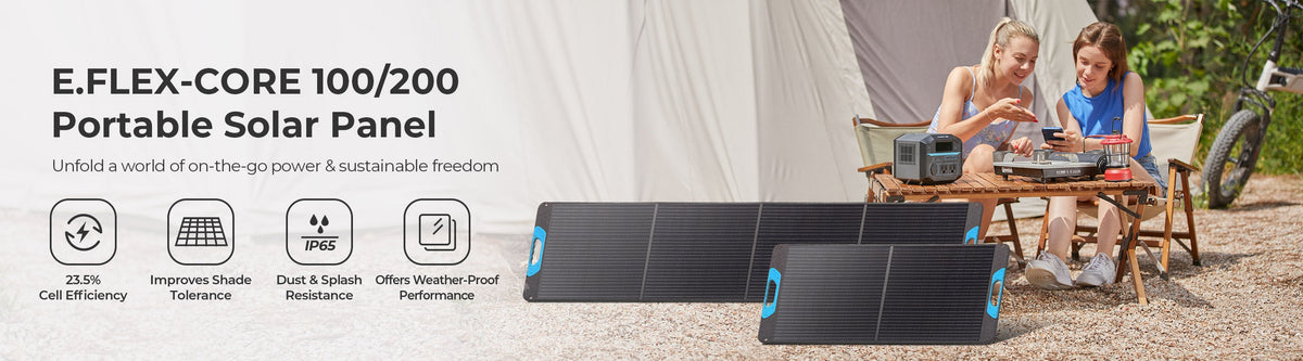 Renogy Portable Solar Panel