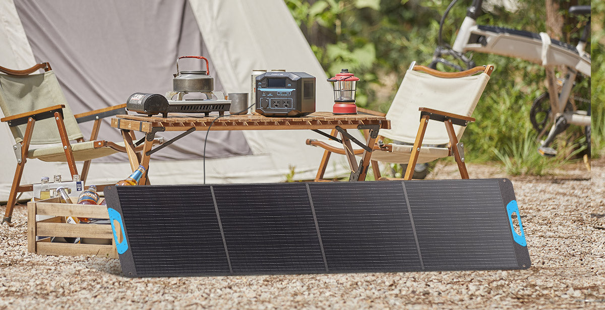 Renogy Portable Solar Panel