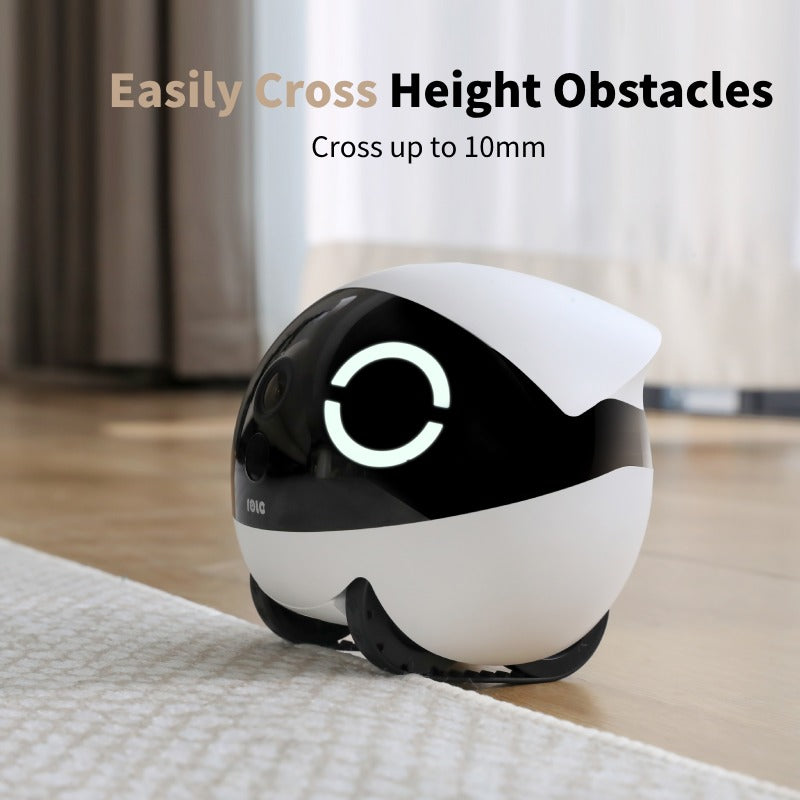 Enabot Store Movable Pet Camera