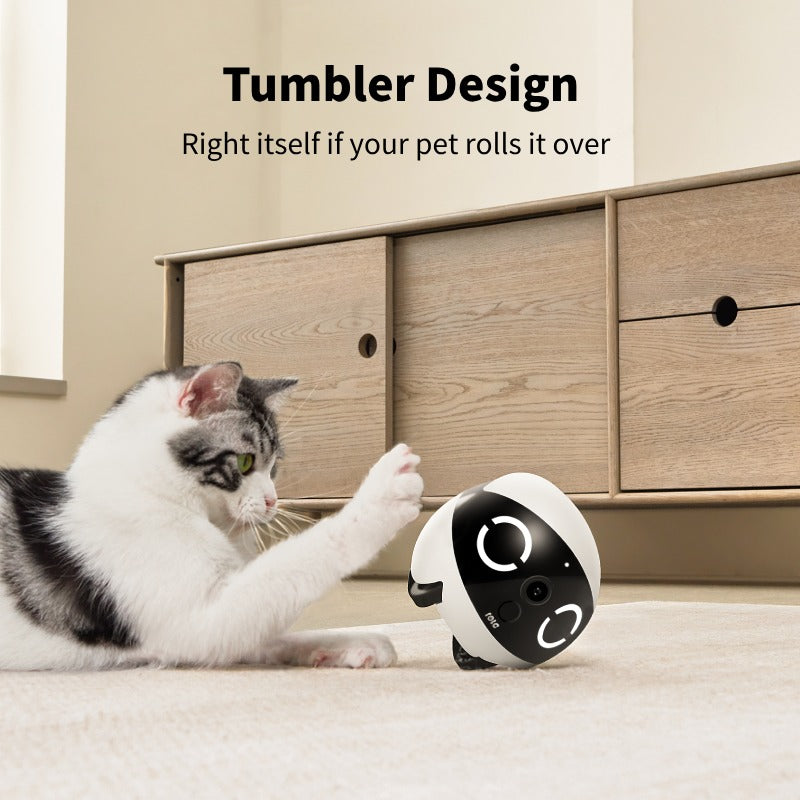 Enabot Store Movable Pet Camera