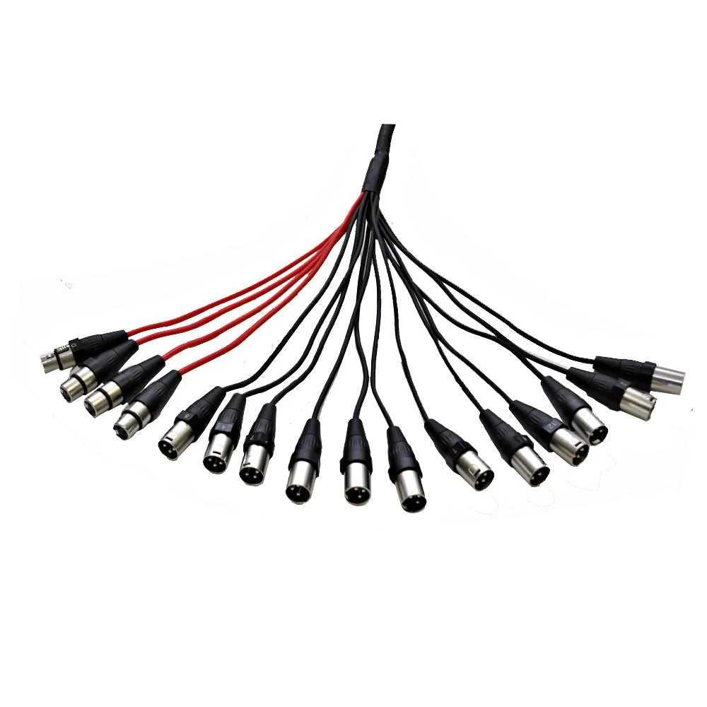 Seismic Audio XLR Stage Snake Cable