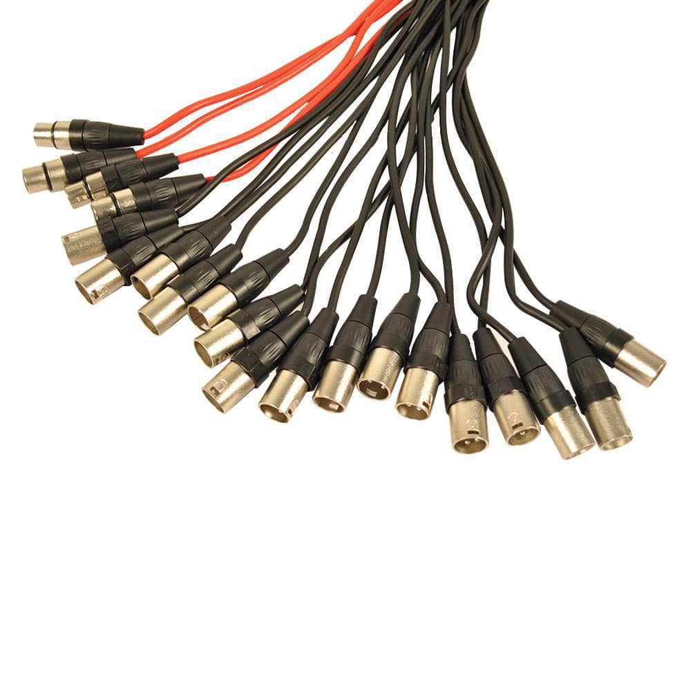 Seismic Audio XLR Stage Snake Cable