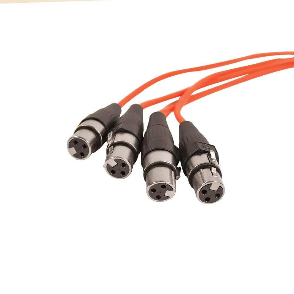 Seismic Audio XLR Stage Snake Cable